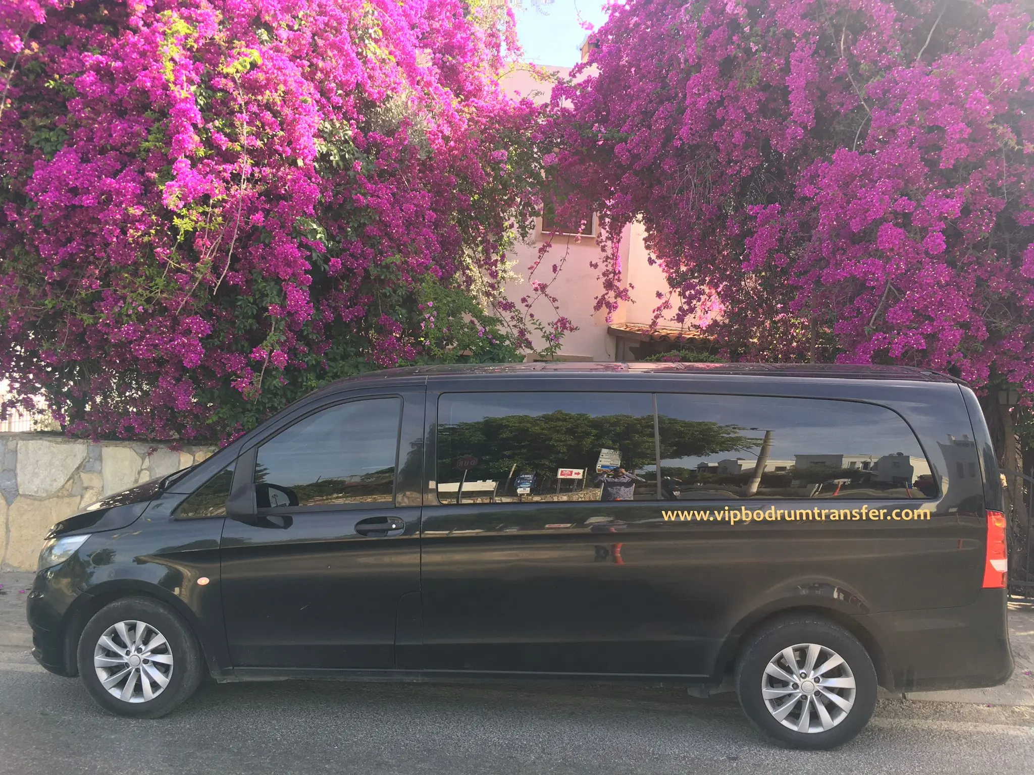 Milas Bodrum Havaalanı Araç Kiralama